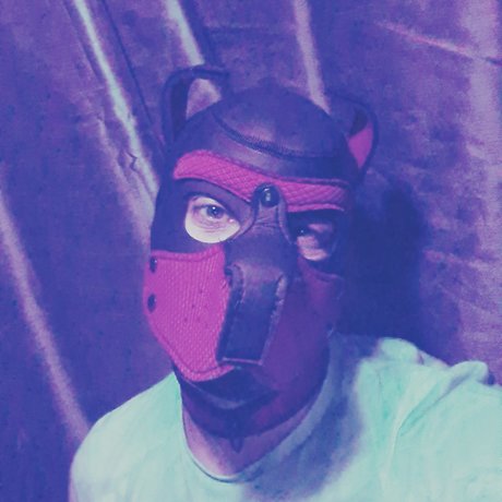 PupLoki_ belle étoile image