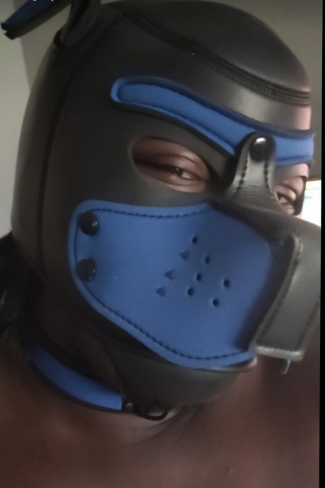 Pup Rella art de star du porno images