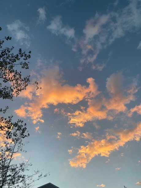 Prince Ambrose Quartz star du porno sympa img