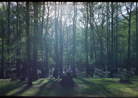 Riley Chase star du porno érotique images