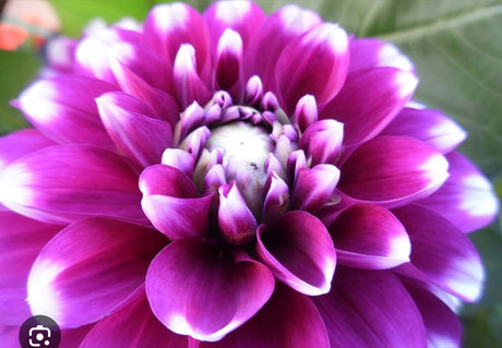 Rihannaxoxo art star du porno photos