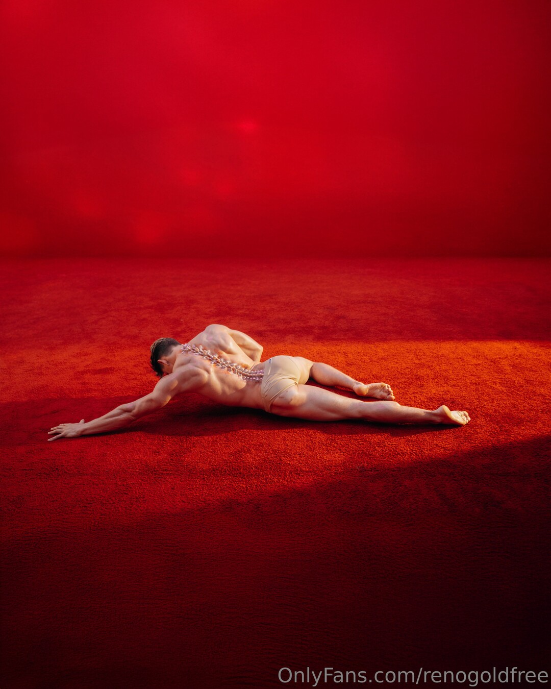 renogoldfree star du porno chaude archive