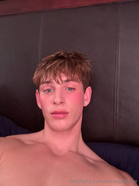 renogoldfree art étoile collection