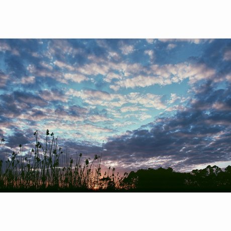 _Rayne_ nus star du porno photo