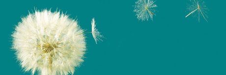 Manuel Ballher joli modèle images