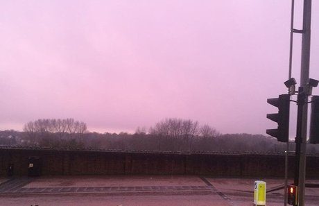 Roman Hawk nus de stars du porno photos