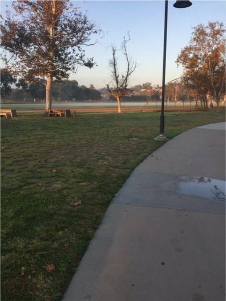 Pegasus art étoile galeries