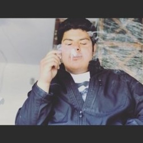 projekt bhris belle actrice galerie