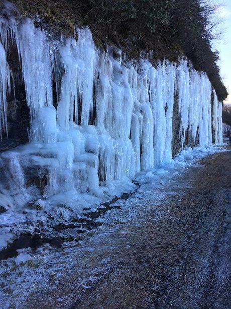 maricella03 étoile gratuite images