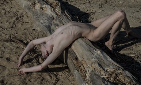 Max Ross actrice adulte archive