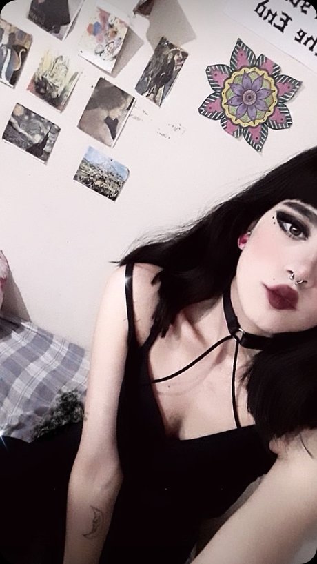 Diaren modèle sympa galeries