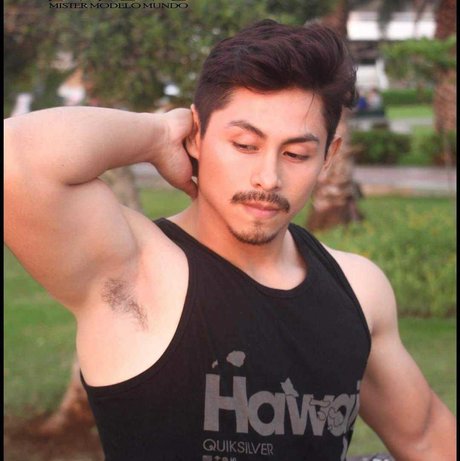 valentino balvin star érotique galeries