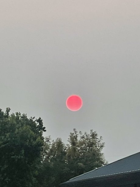 Matthew Cork actrice artistique photo