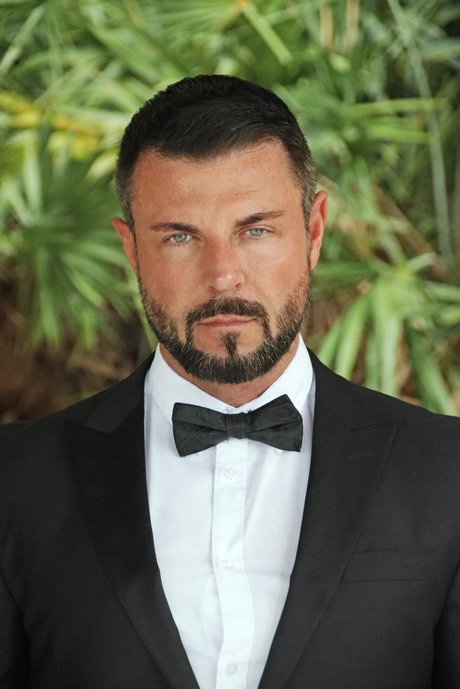 Master Wolf meilleure étoile galeries