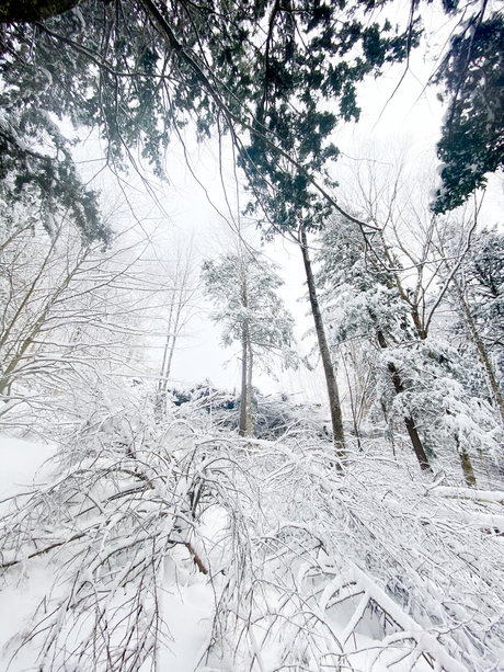 Mason Woods star du porno nue archive