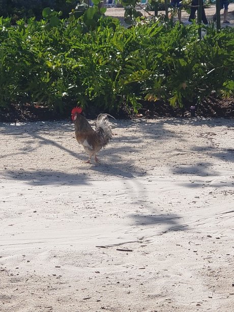 MeetMyMeat star du porno xxx galerie