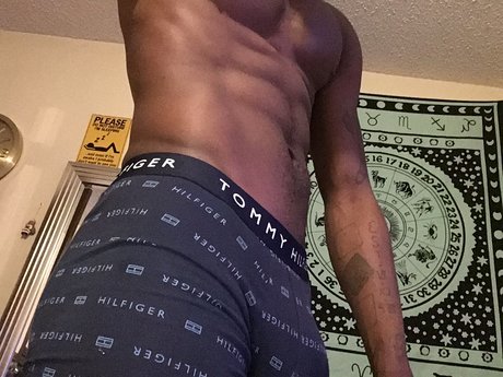 BlacsBook_ belle star du porno collection