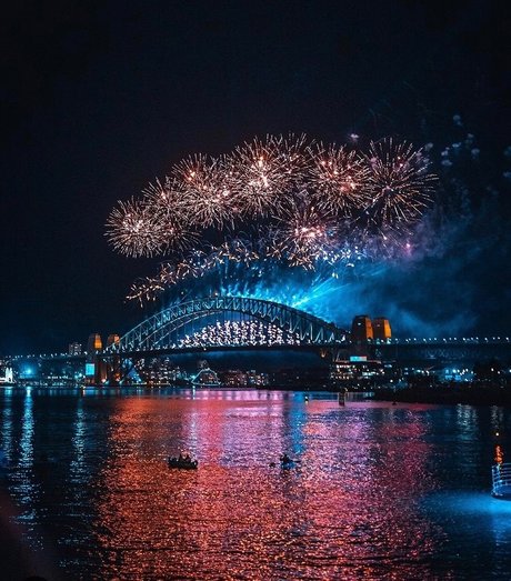 chaton potelé uniquementfans meilleur des photos