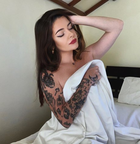 Beau Rose étoile exclusive des photos