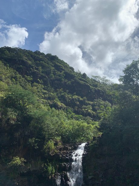 Beau Rose star du porno en haute qualité photo