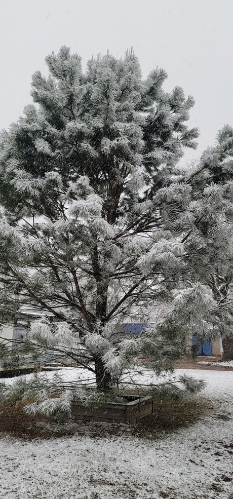 Beardeddadbod modèle meilleur galerie