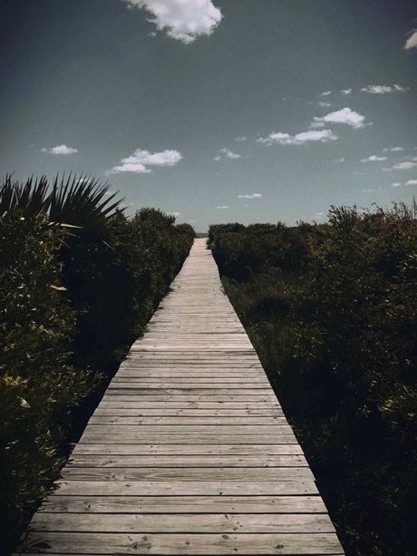 NC Med Student actrice porno galerie