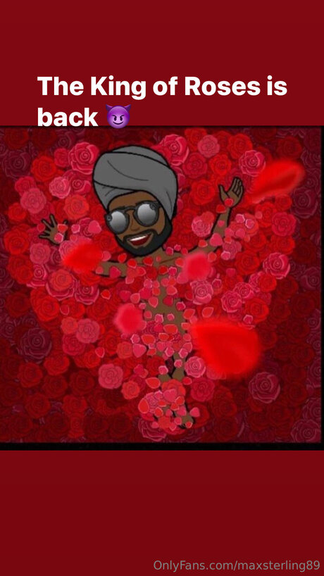 Max Sterling étoile xxx galerie