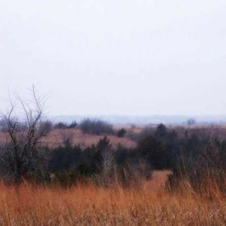 Dirty Gertie nus étoiles photo