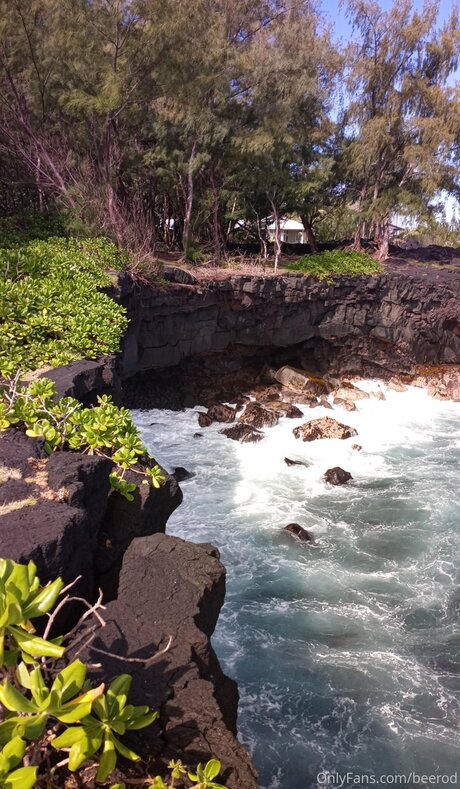 Brandon Blye modèle porno img