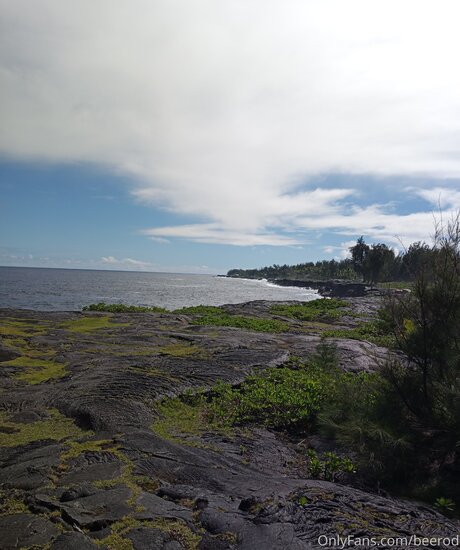 Brandon Blye sexe star du porno collection