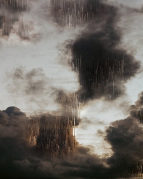 Bella Grey étoile magnifique photo