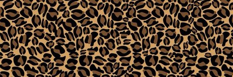 melii actrice porno collection