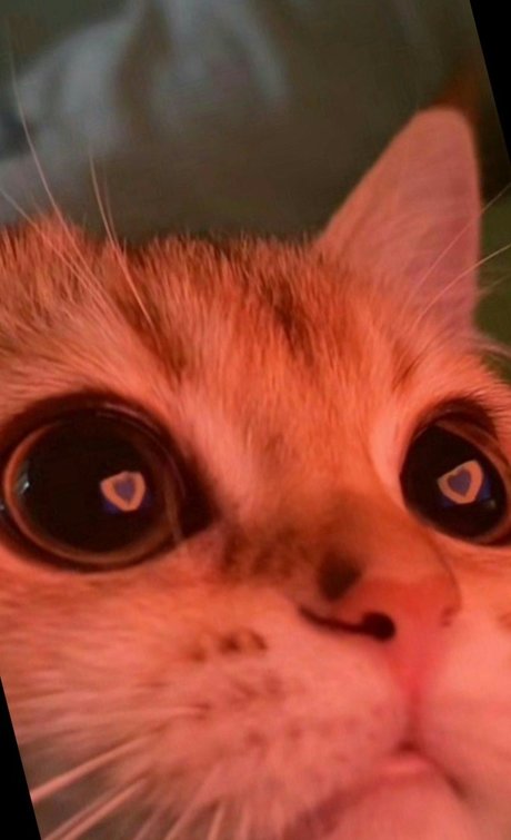 Melani Pineda actrice de nus archive