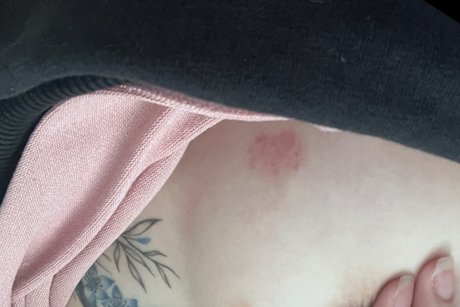 Meiempress modèle sympa des photos