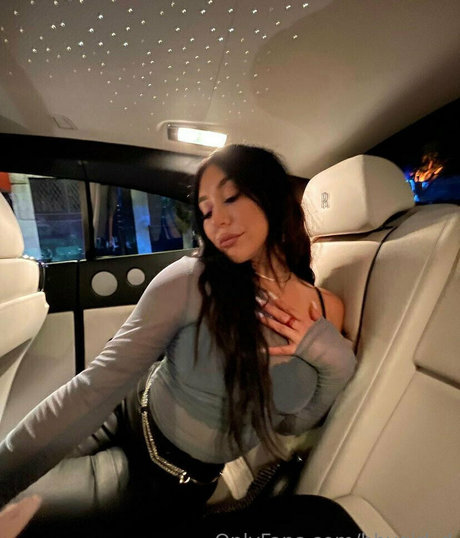 divinedaniela art de star du porno collection