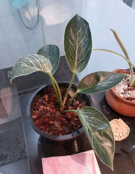 footjob pour ados uniquementfans assez haute qualité photos