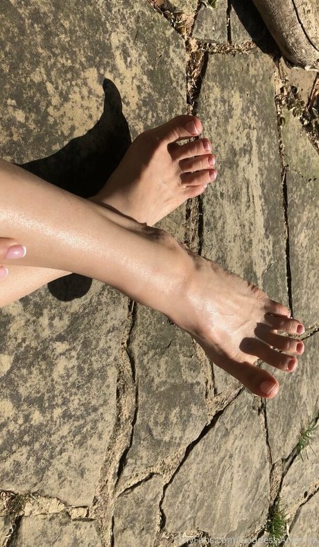 fans faits maison uniquement haute qualité meilleur images