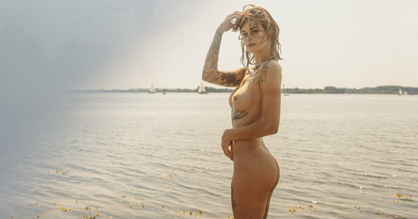 Sallydinosaur étoile chaude collection