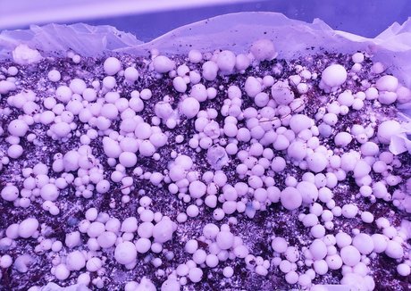 Aintapuppy star du porno gratuite galeries