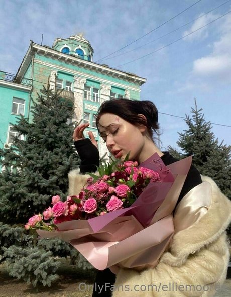 fans navajos uniquement chaud image