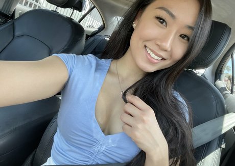 Juziis modèle parfait archive