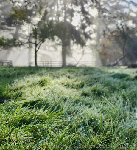 amateurs français onlyfans nus hd images