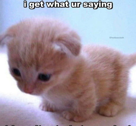 softbunnyrae star du porno sympa image