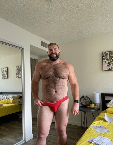 ste3evn modèle nu collection