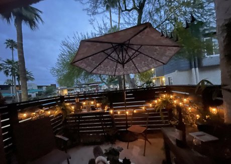 zendenjen69 meilleure étoile img