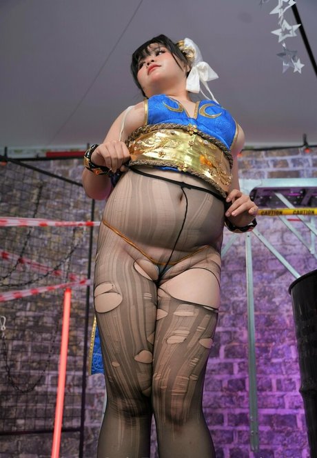 ponkapion étoile de l'art des photos