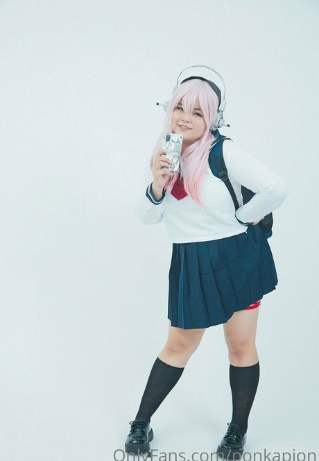 ponkapion étoile parfaite galeries