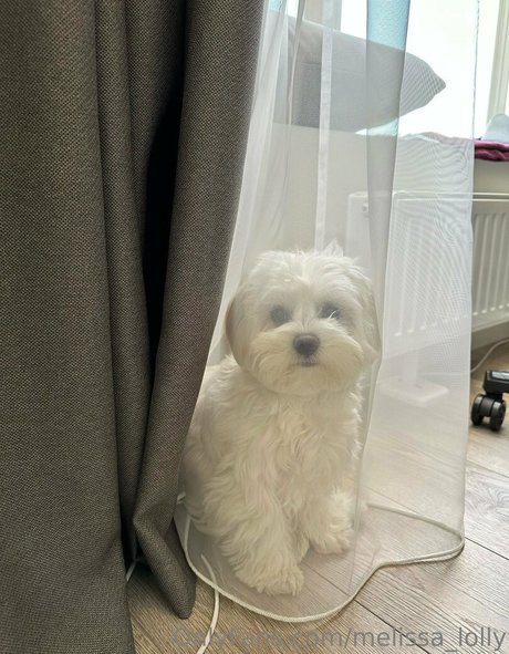 melissa lolly modèle exclusif archive