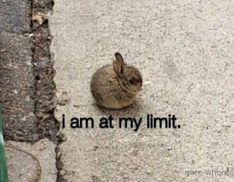 échange de fans uniquement xxx magnifique photo