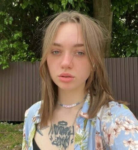 chaton potelé uniquementfans parfait sympa photo